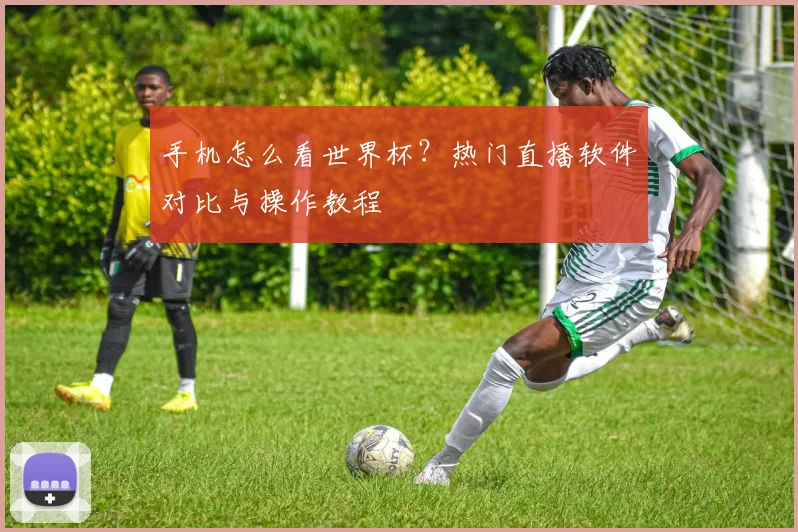 手机怎么看世界杯？热门直播软件对比与操作教程