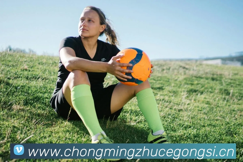 九游网页官网入口发展历程